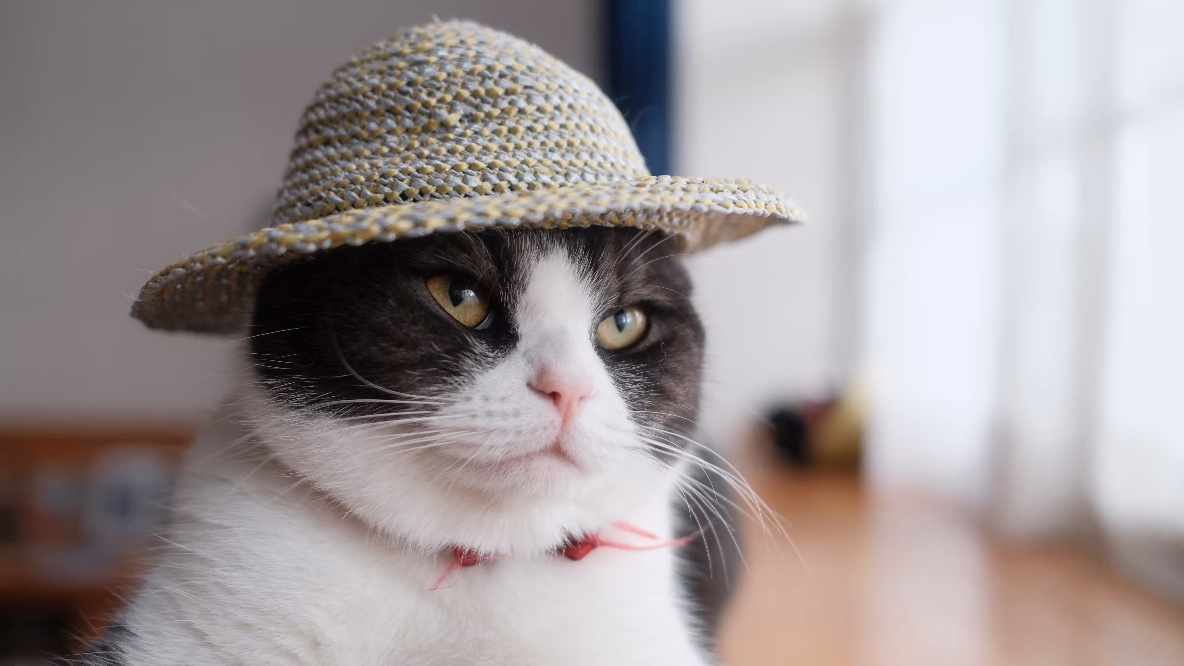 perfect-mobile-performance-score