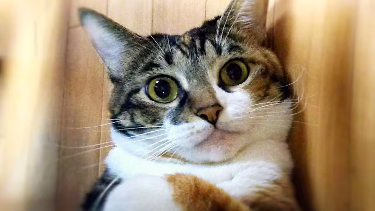 settings-vercel-log-axiom