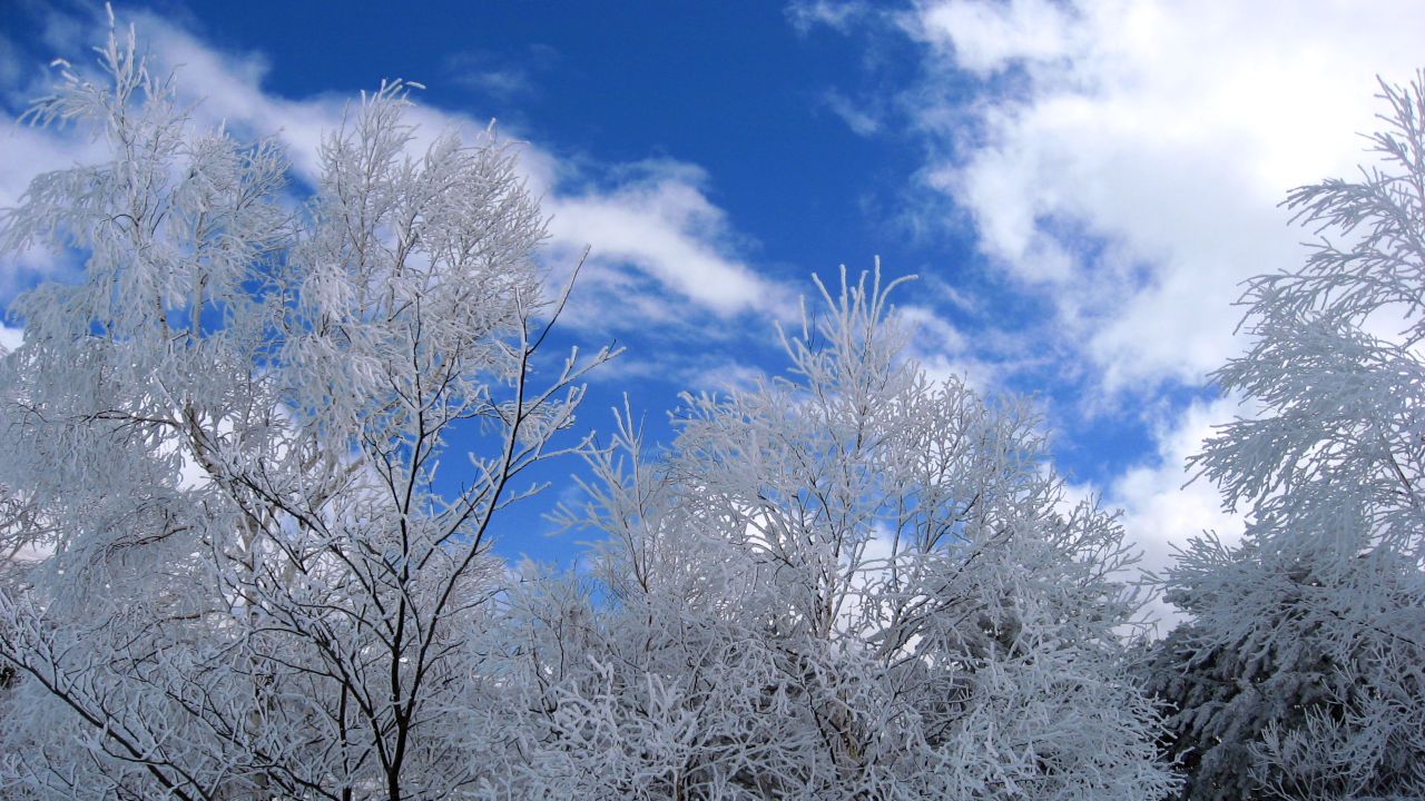 customize-wordpress-contact